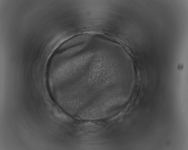 X0000092230290200710051224