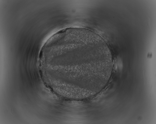 X0000092230292200710051224