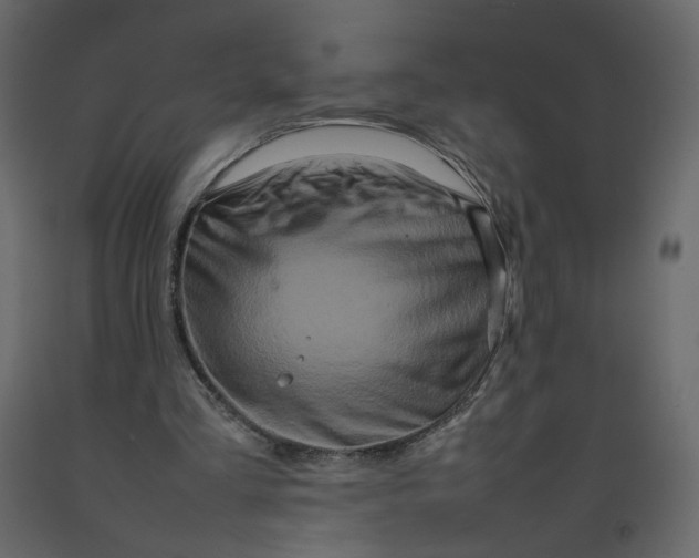 X0000092230293200710051224