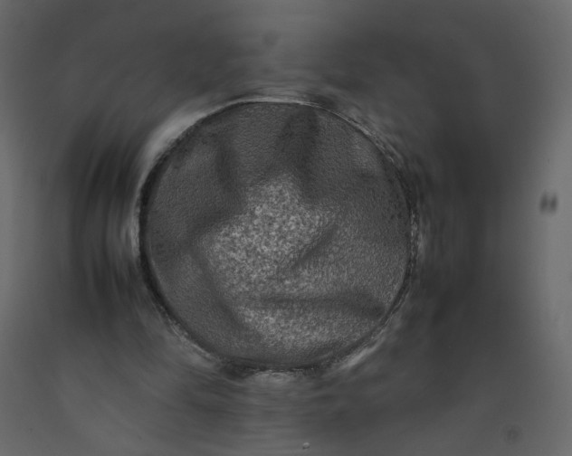 X0000092230294200710051224