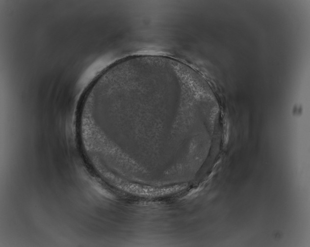 X0000092230296200710051224