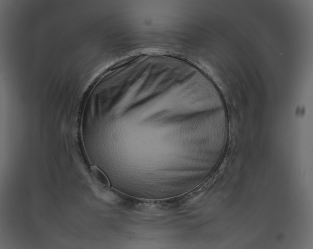 X0000092230297200710051224