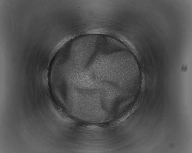 X0000092230298200710051224