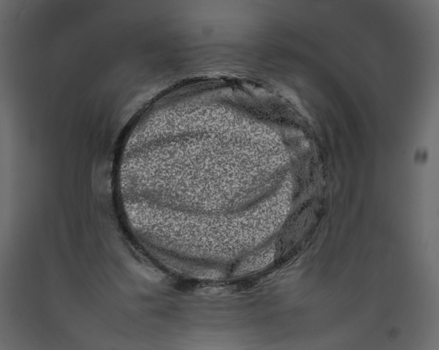 X0000092230299200710051224