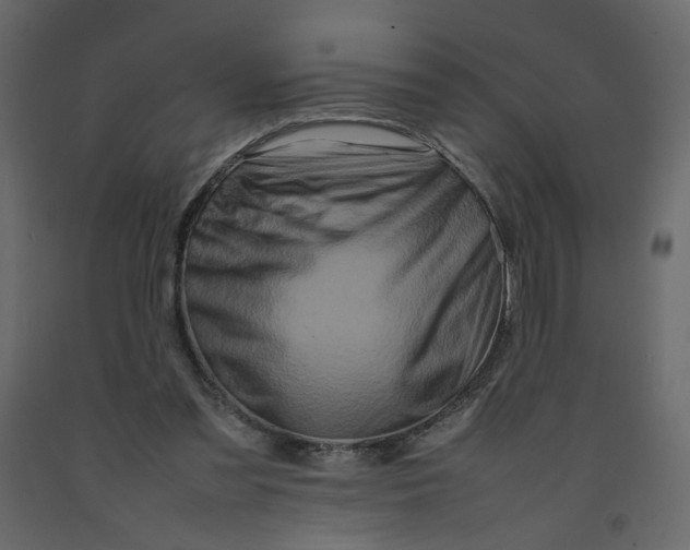 X0000092230301200710051224