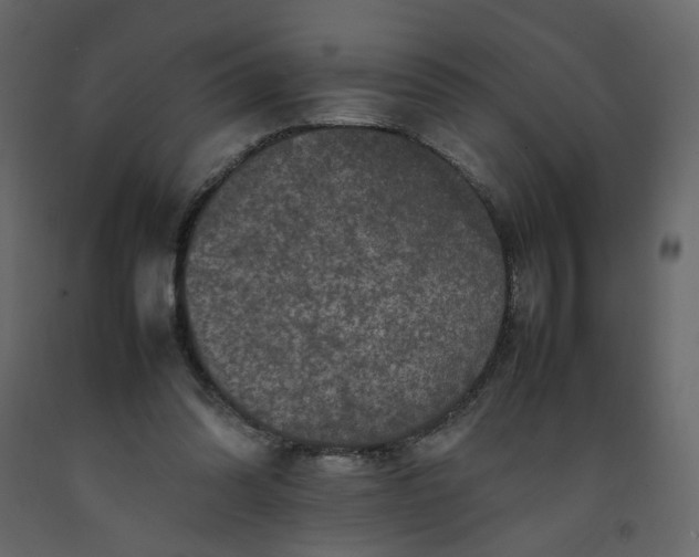 X0000092230302200710051224