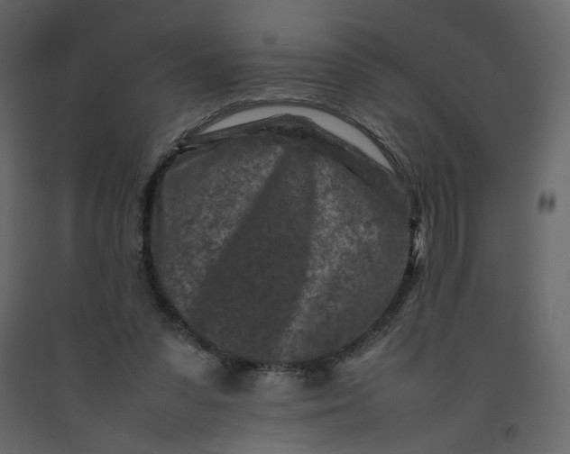 X0000092230303200710051224