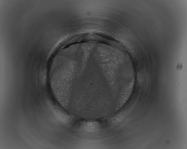 X0000092230304200710051224