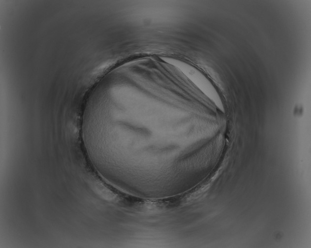 X0000092230305200710051224