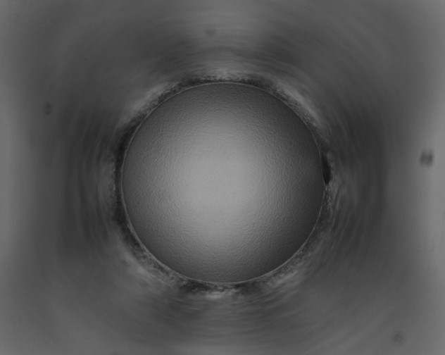 X0000092230306200710051224