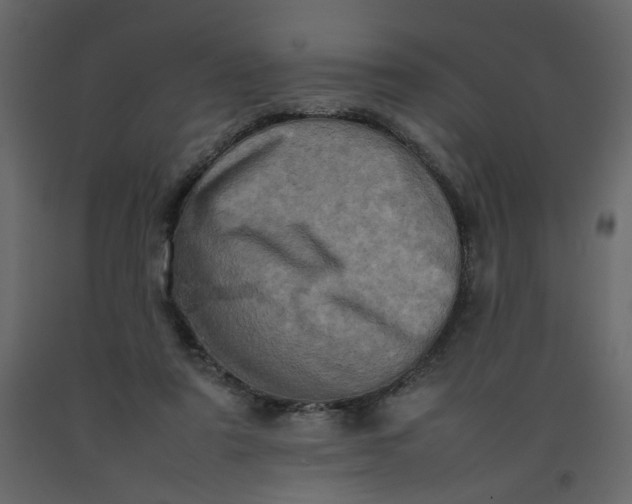 X0000092230307200710051224