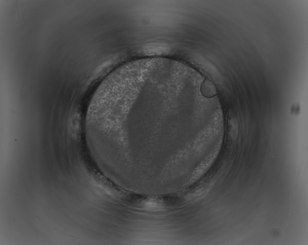 X0000092230308200710051224