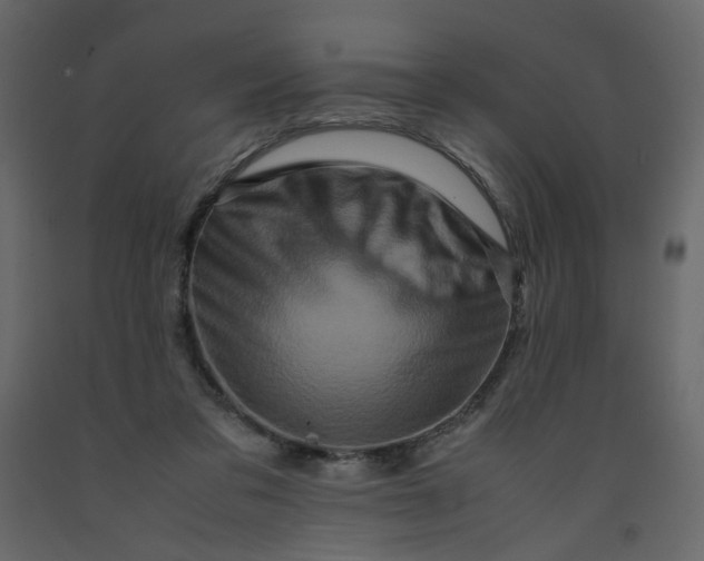 X0000092230309200710051224