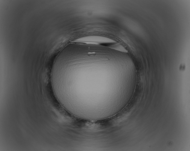 X0000092230311200710051224