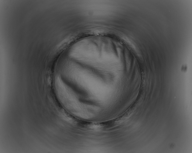 X0000092230313200710051224