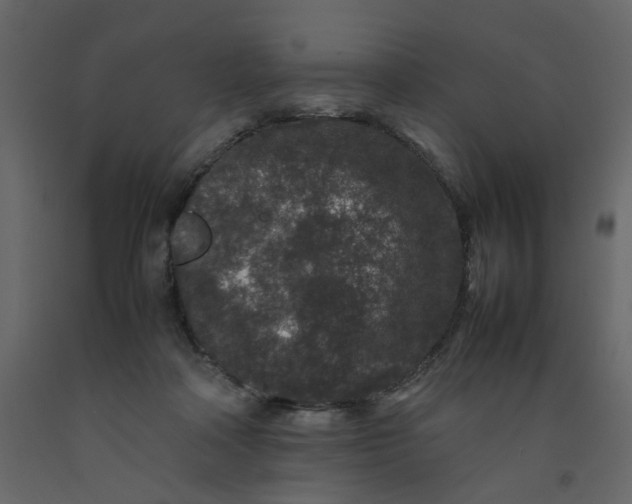 X0000092230314200710051224