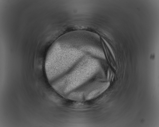 X0000092230315200710051224