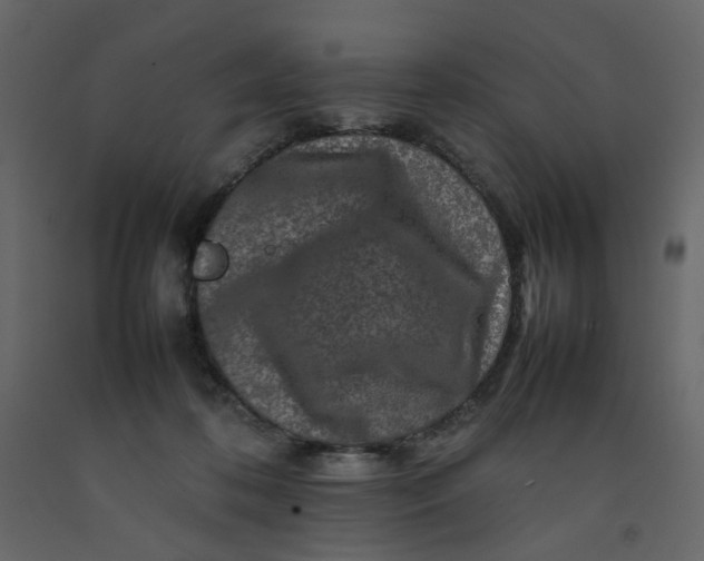 X0000092230316200710051224