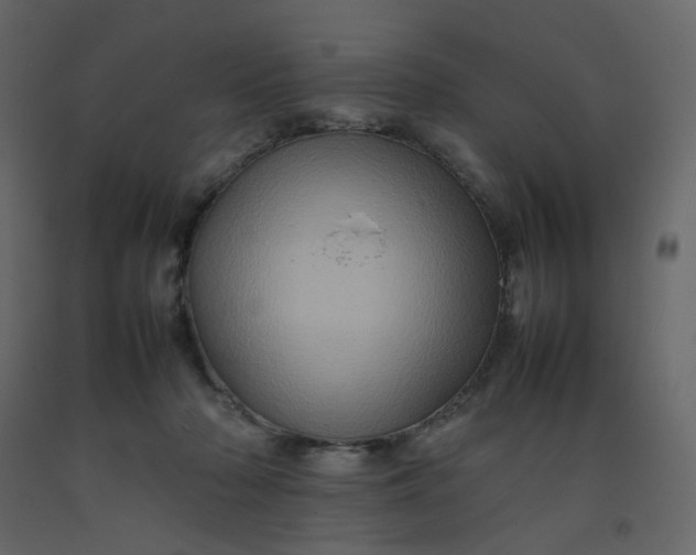 X0000092230318200710051224