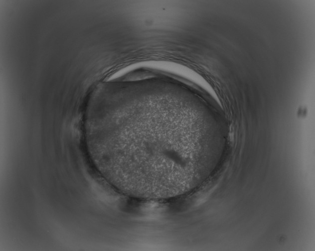 X0000092230319200710051224