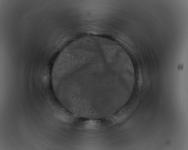 X0000092230320200710051224