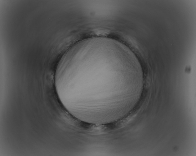 X0000092230321200710051224