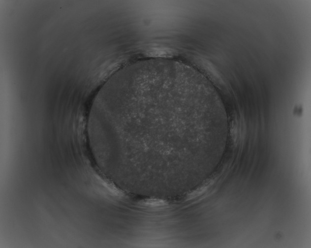 X0000092230322200710051224