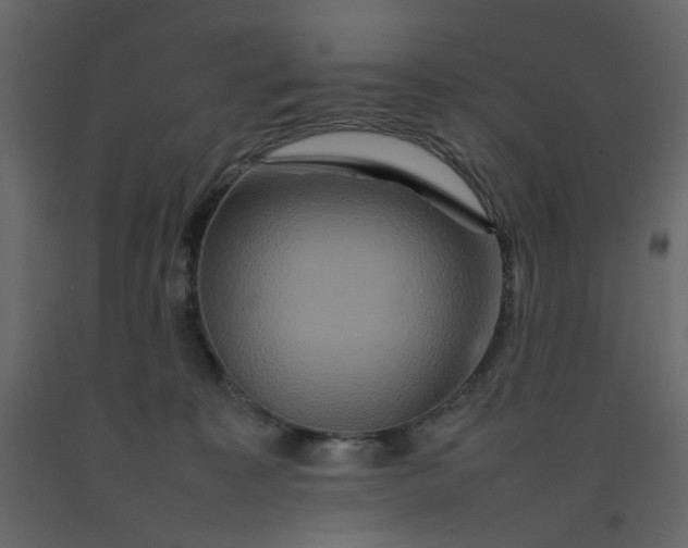 X0000092230323200710051224