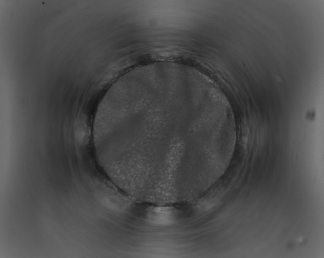 X0000092230324200710051224