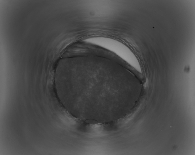 X0000092230325200710051224