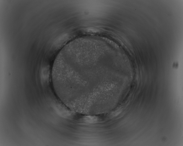 X0000092230328200710051224