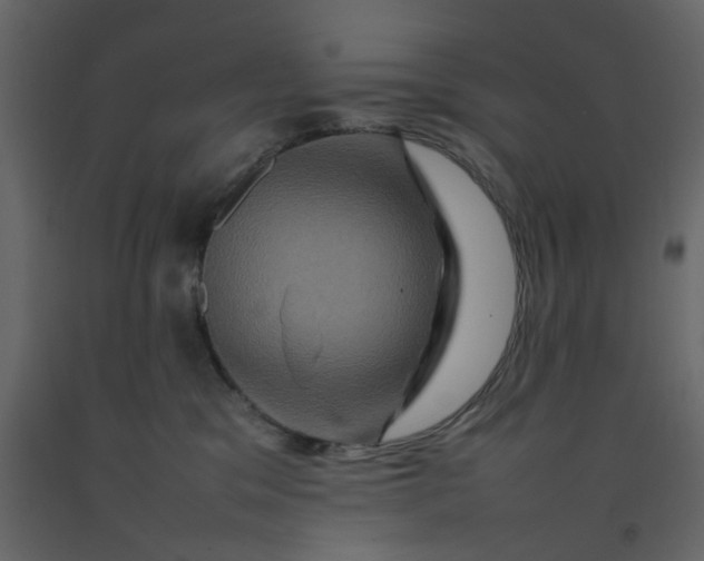 X0000092230329200710051224