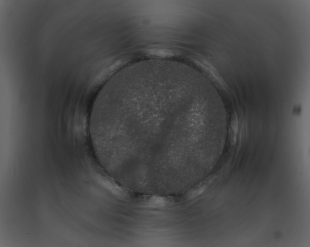 X0000092230330200710051224