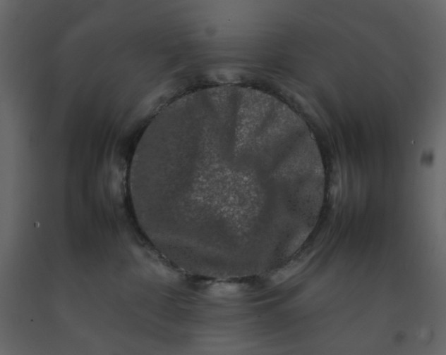 X0000092230332200710051224