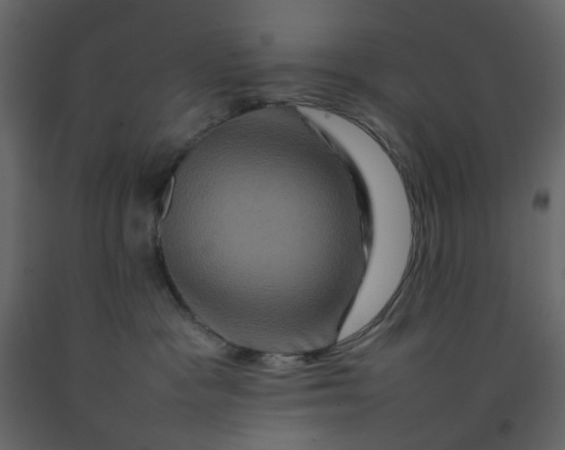 X0000092230333200710051224