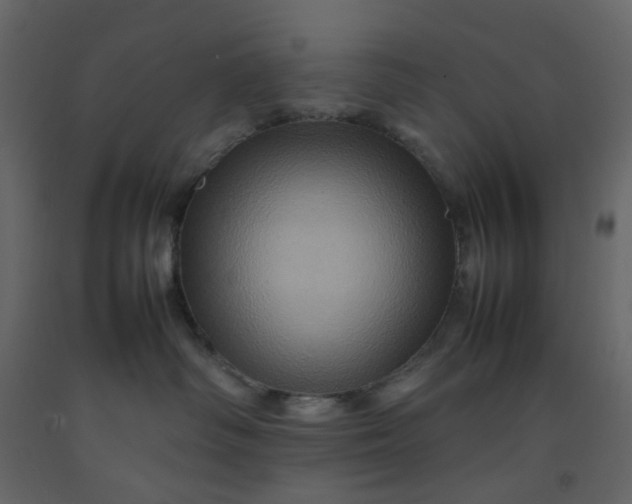 X0000092230334200710051224