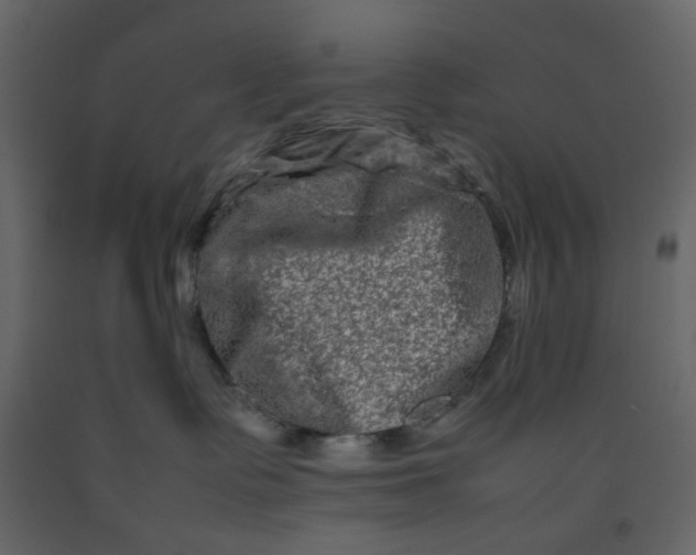 X0000092230335200710051223