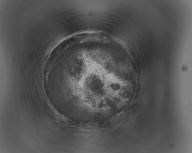 X0000092230337200710051223