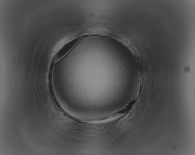 X0000092230340200710051223