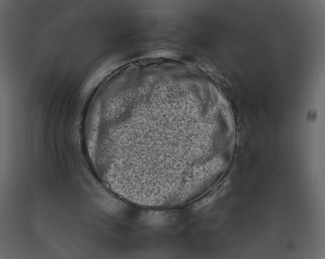 X0000092230341200710051223