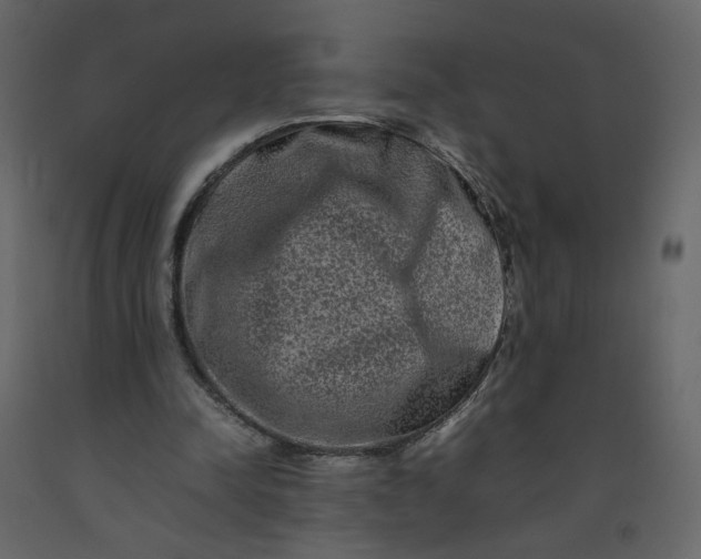 X0000092230342200710051223