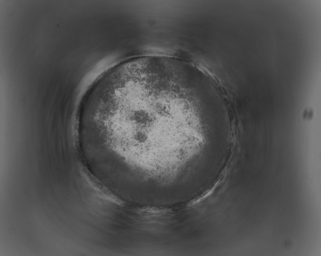 X0000092230343200710051223