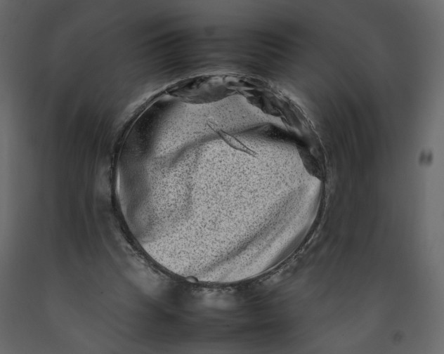 X0000092230345200710051223