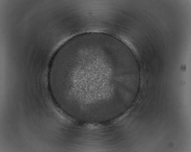 X0000092230346200710051223