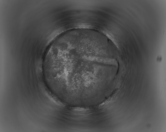 X0000092230347200710051223