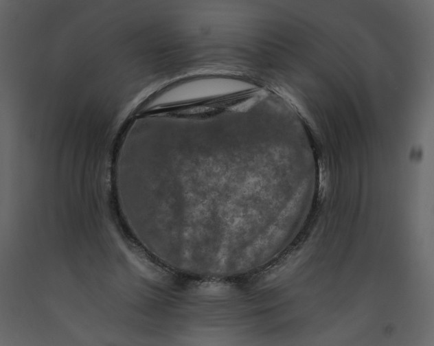 X0000092230348200710051223