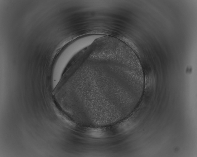 X0000092230349200710051223