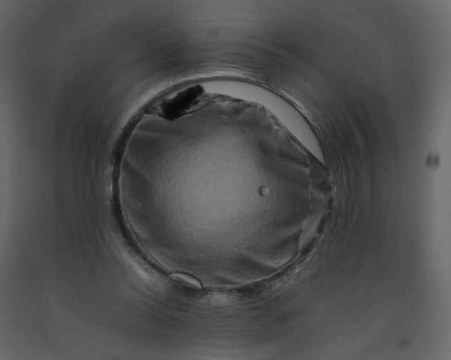 X0000092230350200710051223