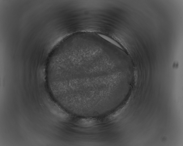 X0000092230351200710051223