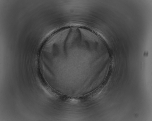 X0000092230352200710051223